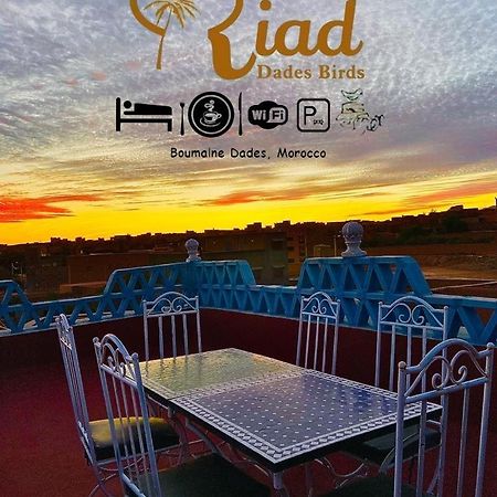 Riad Dades Birds Boumalne Kültér fotó