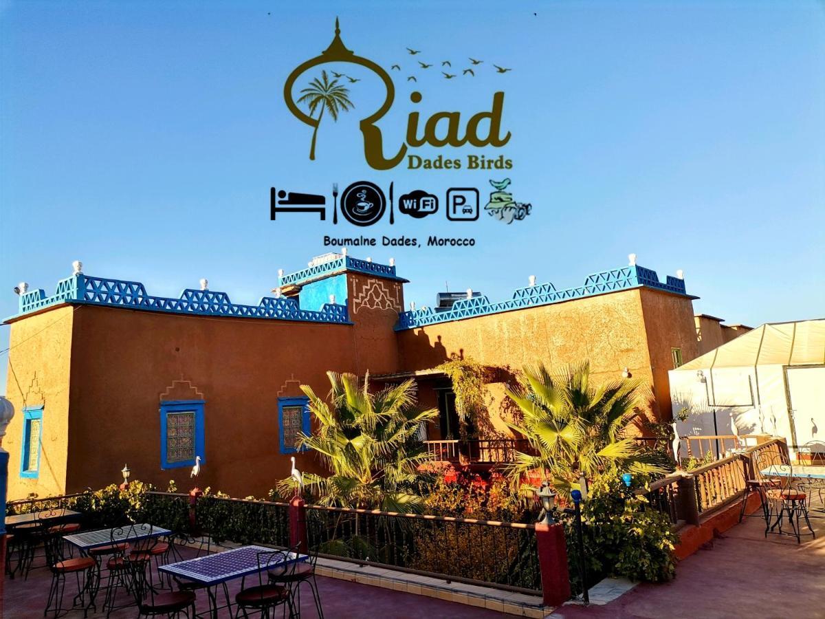 Riad Dades Birds Boumalne Kültér fotó
