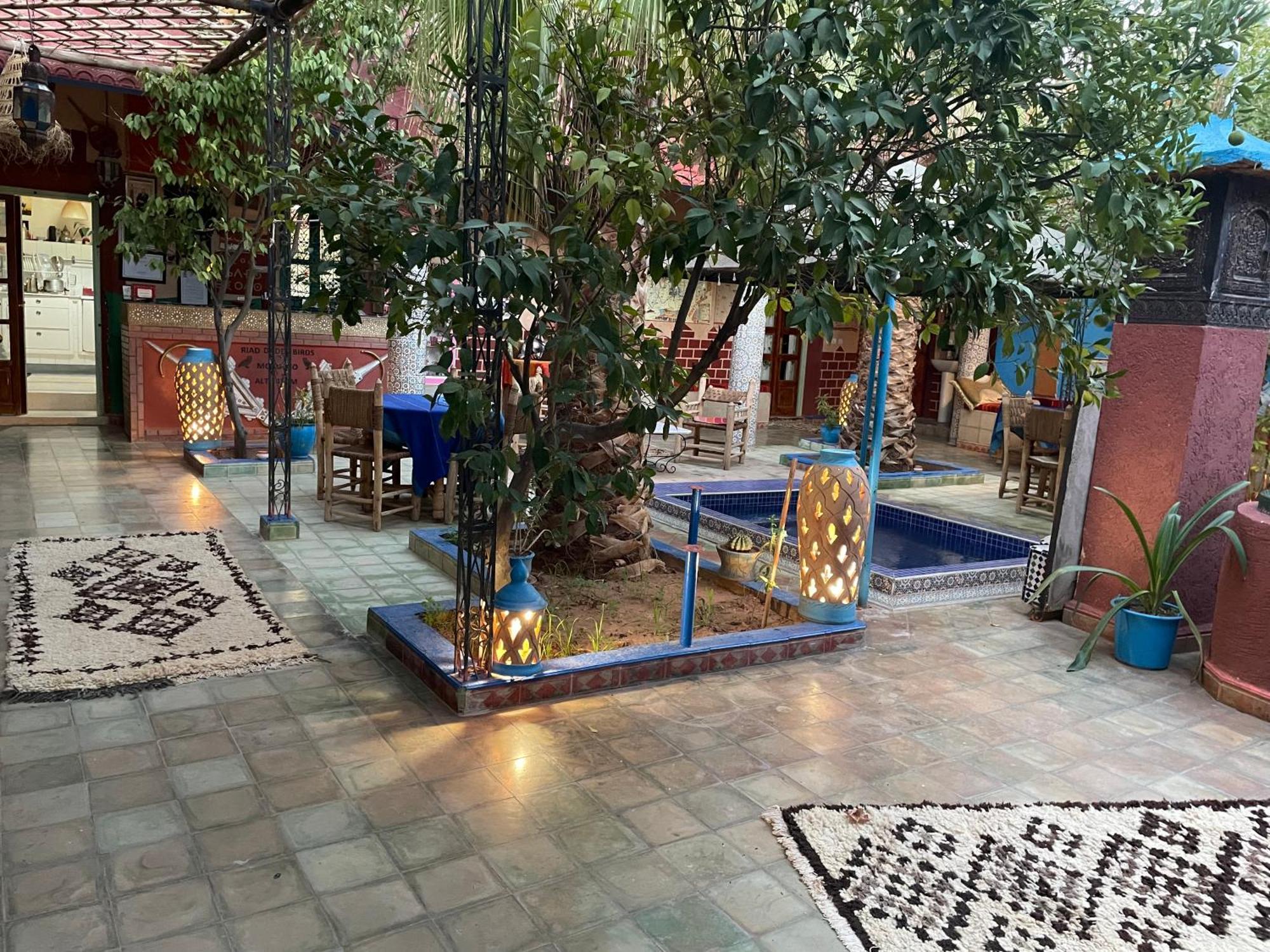 Riad Dades Birds Boumalne Kültér fotó