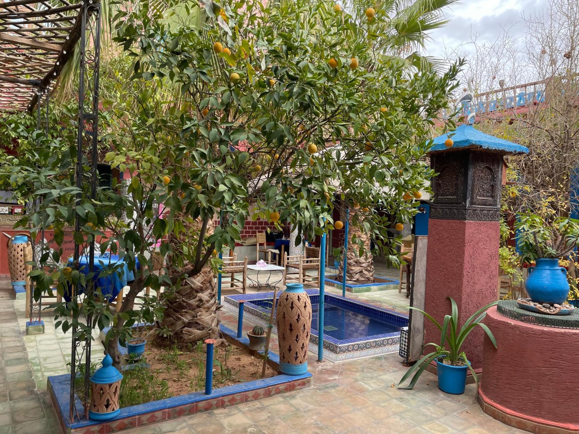 Riad Dades Birds Boumalne Kültér fotó